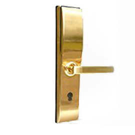 天智指纹密码锁 家庭智能门锁 金色滑盖防盗门锁