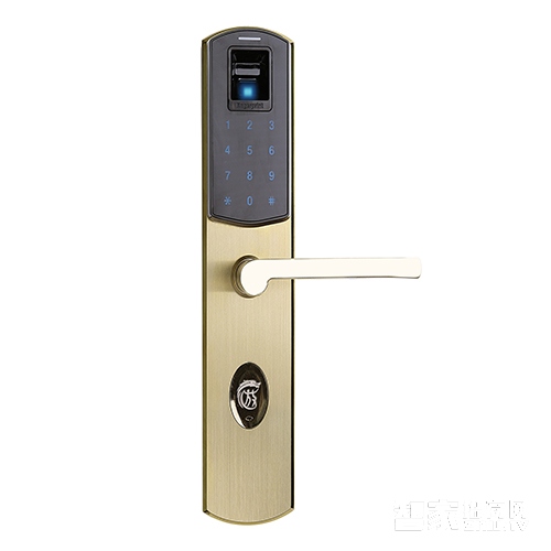 放龙科技智能锁 别墅高端电子密码锁 家用入户门指纹锁