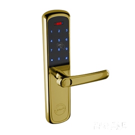 力维智能锁 TDT-1550/20家用指纹锁 防盗密码锁直板亮金