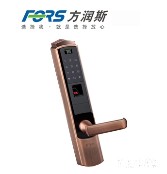 FORS方润斯新款指纹锁密码锁不锈钢面板直板古铜色FRS-8119主图