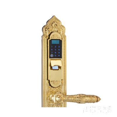 别墅大门专用指纹锁 直板金色密码锁