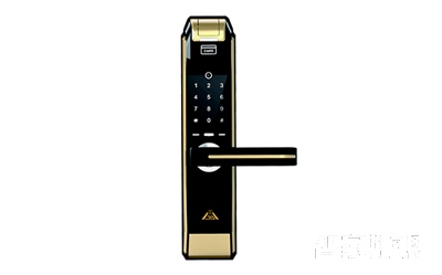 金安盾指纹锁密码锁刷卡锁直板金色S20
