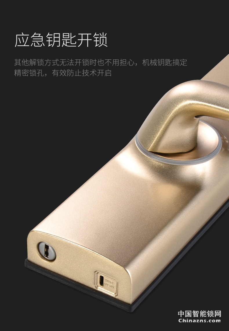 YGS杨格智能锁密码锁 指纹锁家用防盗门 电子门锁 Z1-D