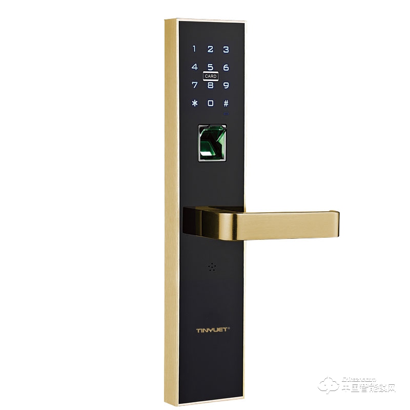 天玥智能锁 家庭智能锁与指纹密码和IC卡锁CC-SL038
