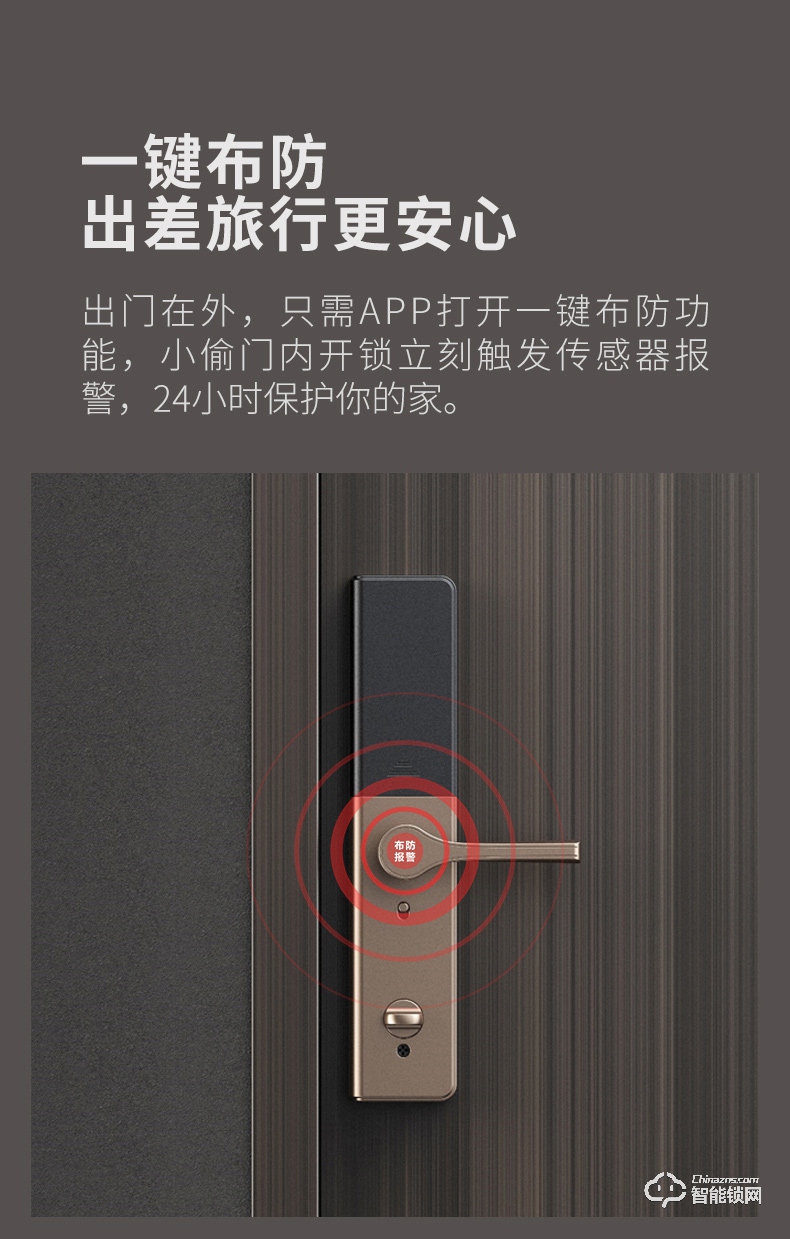德施曼智能锁 T91P家用防盗门智能锁电子密码锁.jpg