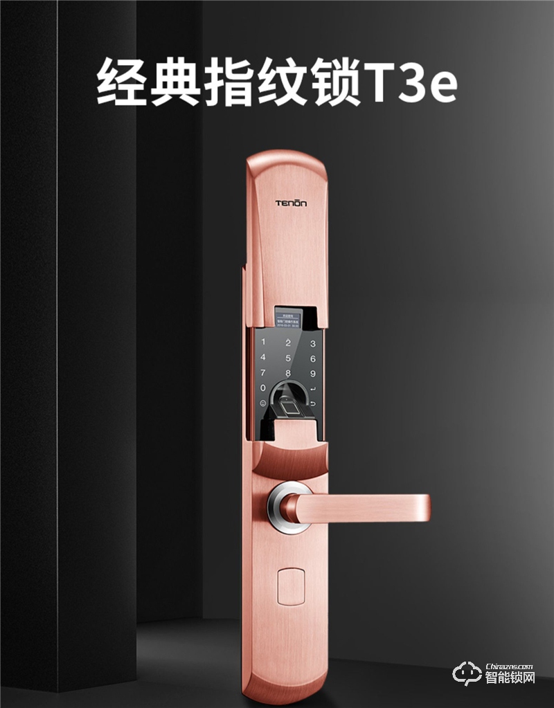 亚太天能智能锁 T3e家用防盗门锁智能密码锁.jpg