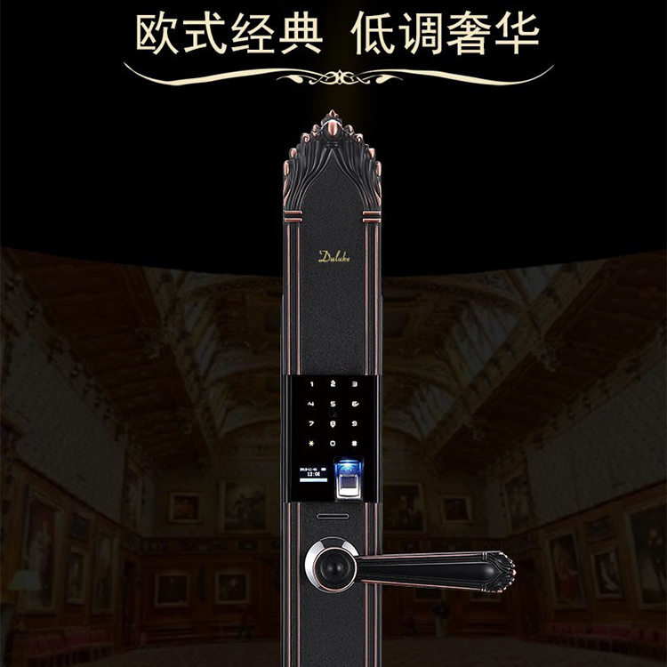杜鲁克智能锁 欧式别墅大门指纹锁双开门铜门铸铝门智能锁