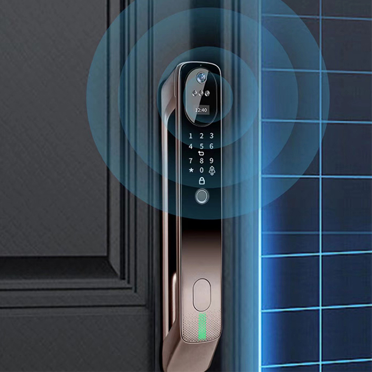 洛克曼S8智能锁 3D人脸识别智能锁家用防盗门锁